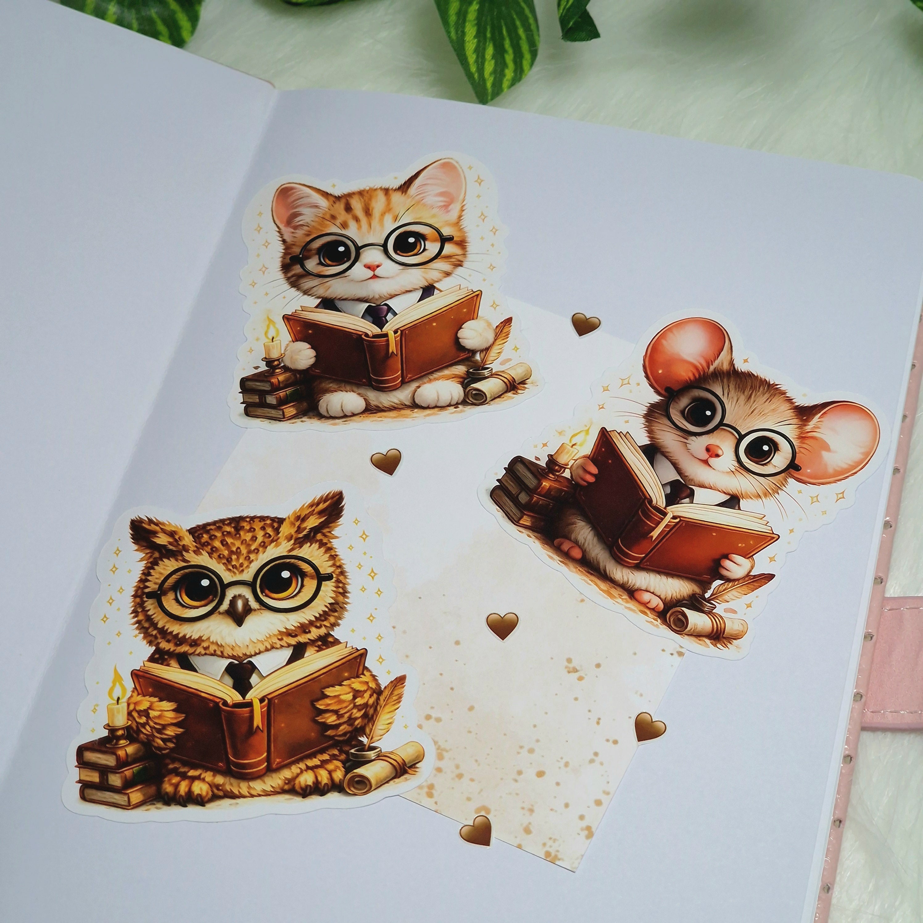 Bookish Cat Sticker | Cozy Library vibes for cat lovers