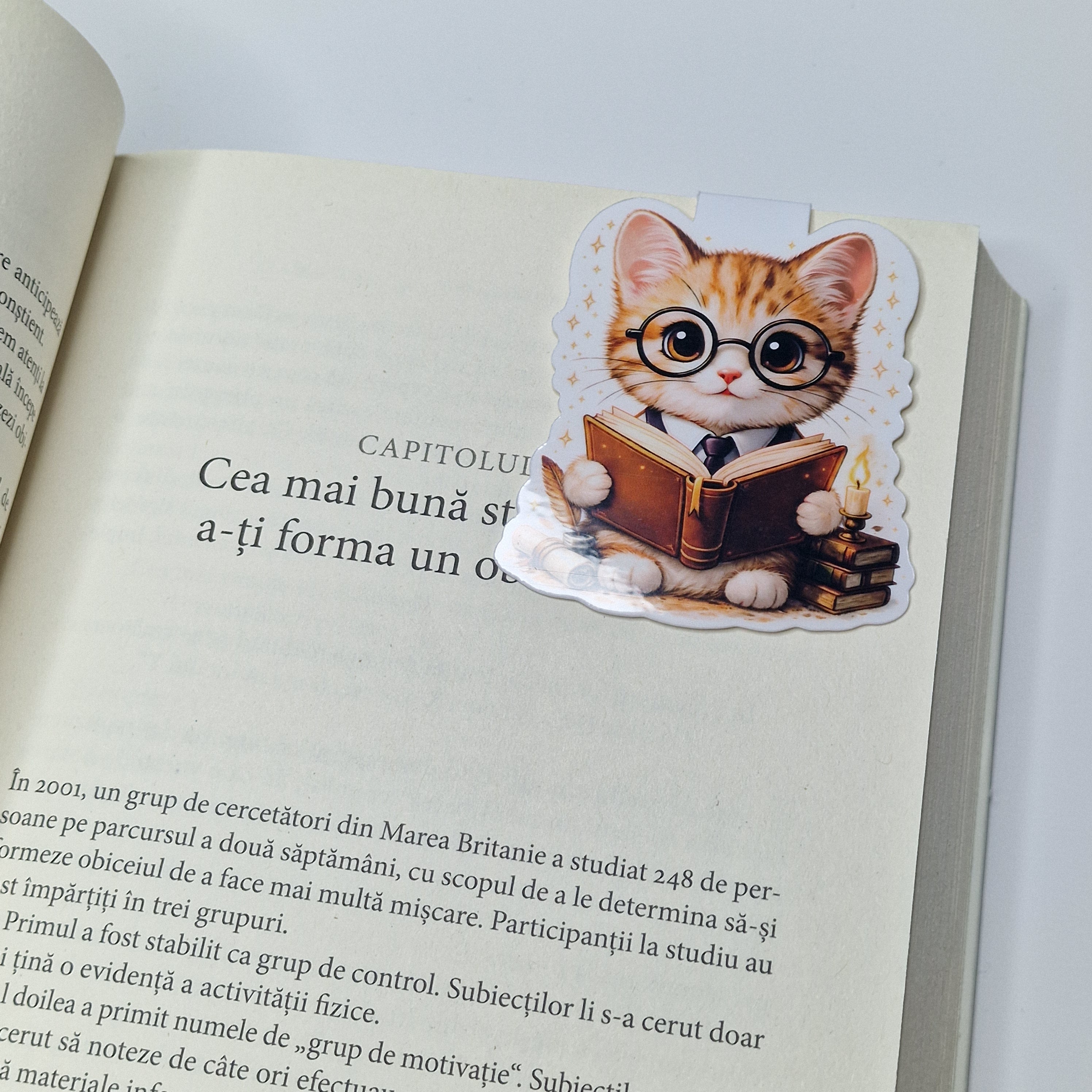 Bookish Cat Magnetic Bookmark