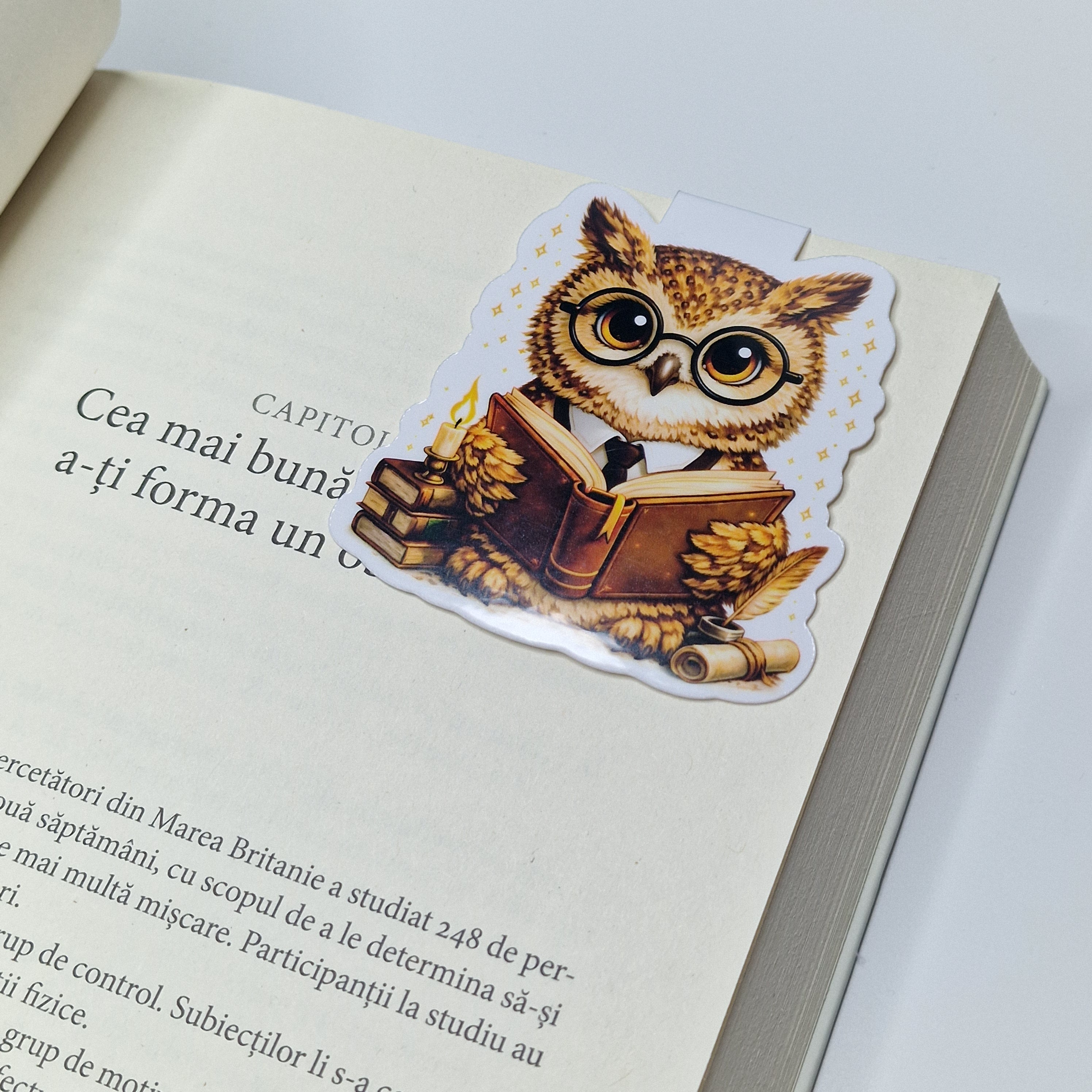 Bookish Owl Magnetic Bookmark