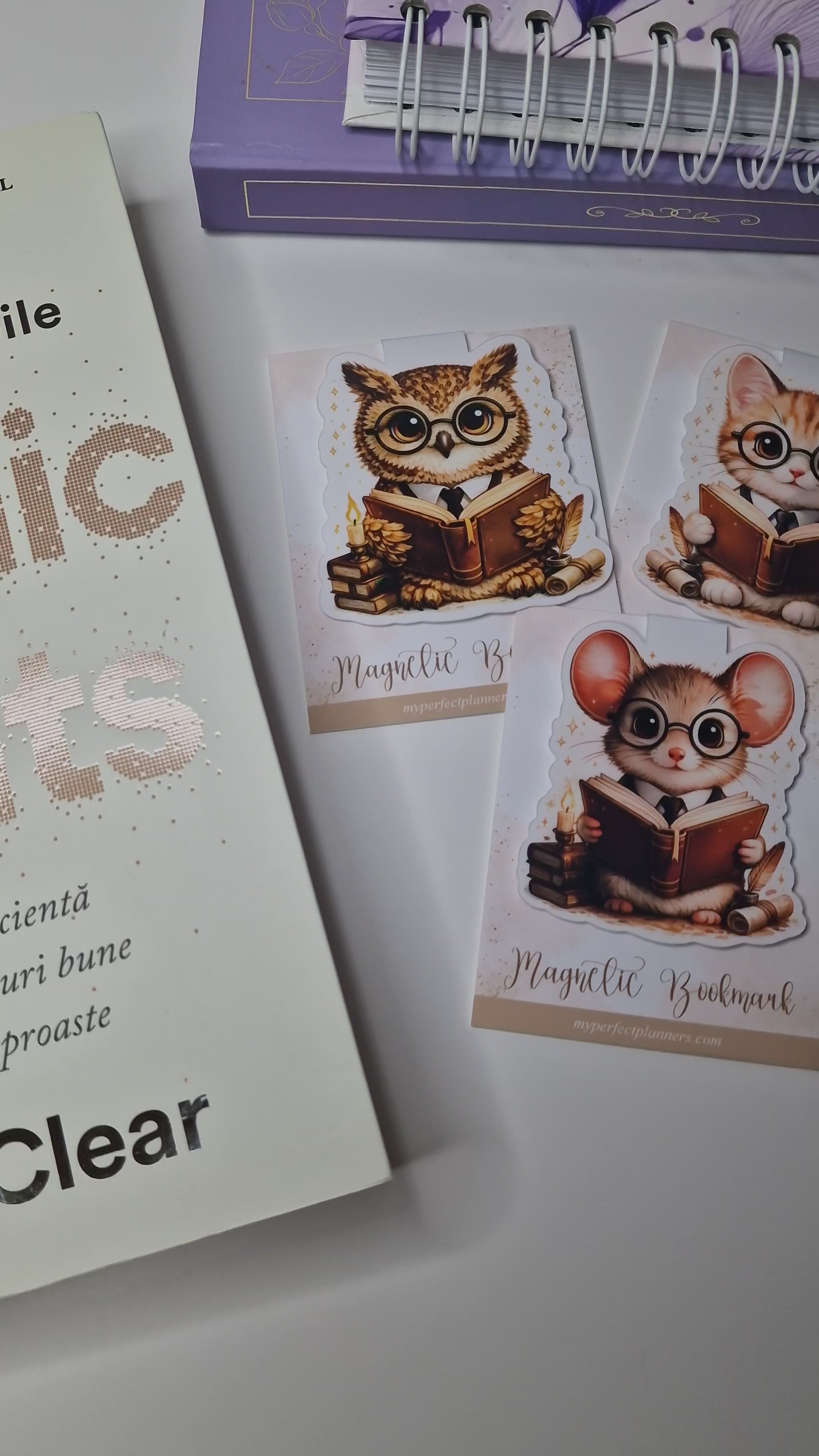 Bookish Mouse Magnetic Bookmark